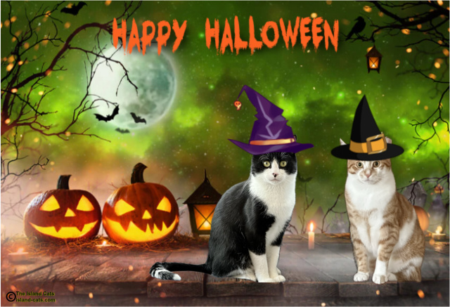 spooky Halloween picture